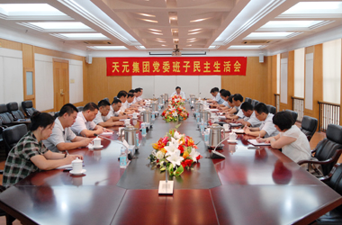 集團黨委召開領導班子民主生活會