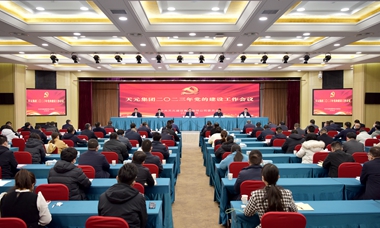 集團黨委召開黨的建設工作會議
